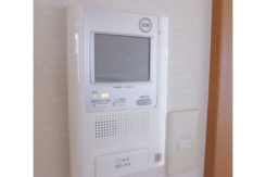 ダミー