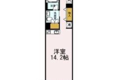 ダミー
