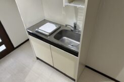 ダミー