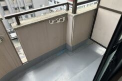 ダミー