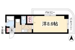 ダミー