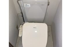 ダミー