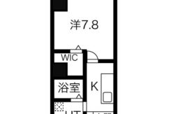 ダミー