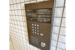 ダミー