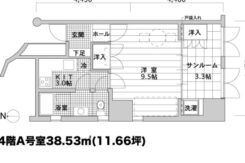 ダミー