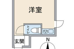 ダミー